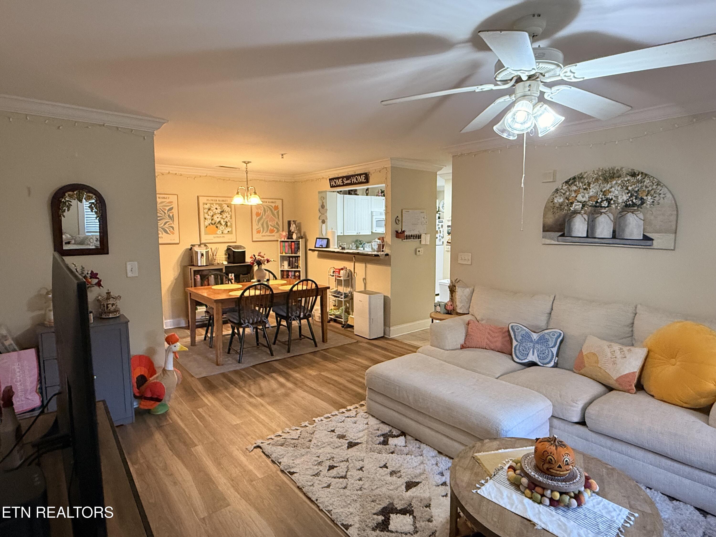 3708 Spruce Ridge Way, Unit 2102 Knoxville, TN 37920 - Photo 10 of 43 IMG_2534