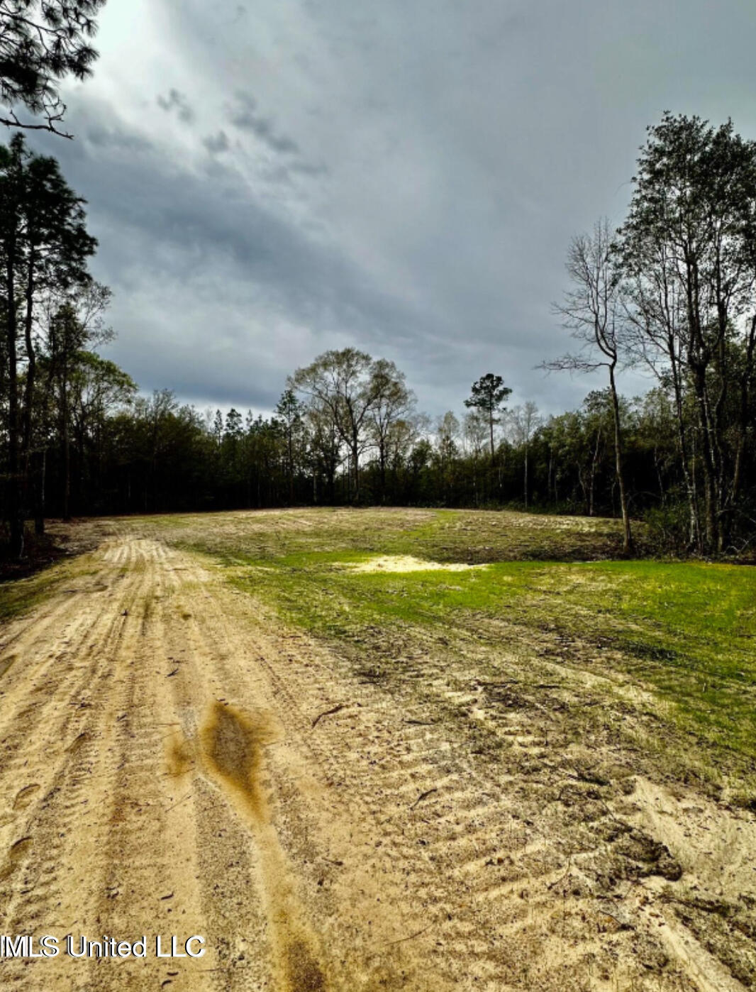 North Creek Road East Lucedale, MS 39452 - Photo 2 of 5 IMG_7708