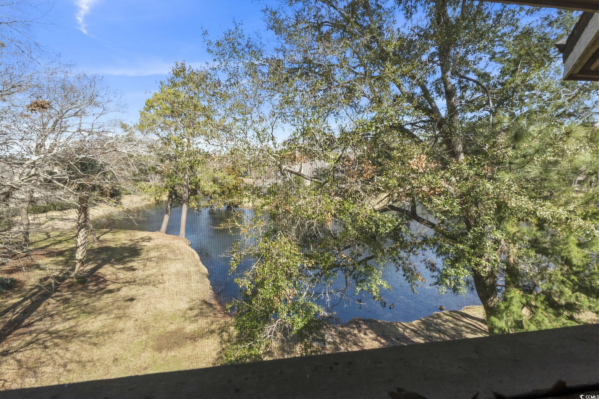 180 Rothbury Circle, Unit 303 Myrtle Beach, SC 29572 - Photo 25 of 33