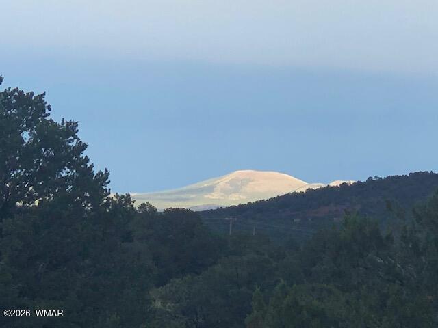 Lot 20 Mountain Pine Road Concho, AZ 85924 - Photo 7 of 10