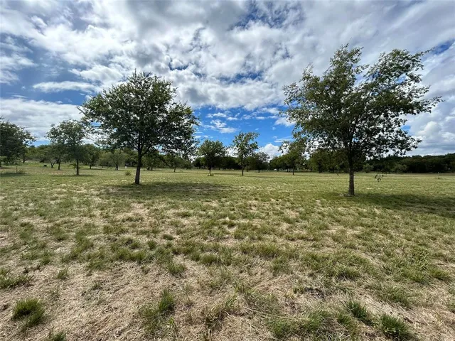 a view of a garden with a fountain