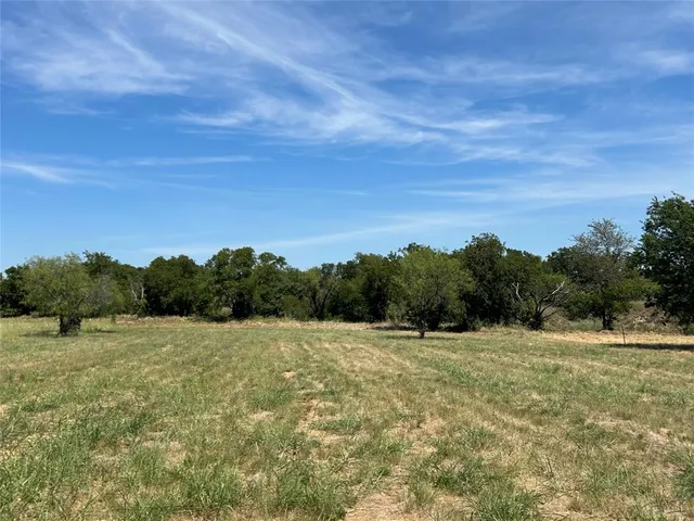 a view of a grassy area with an trees
