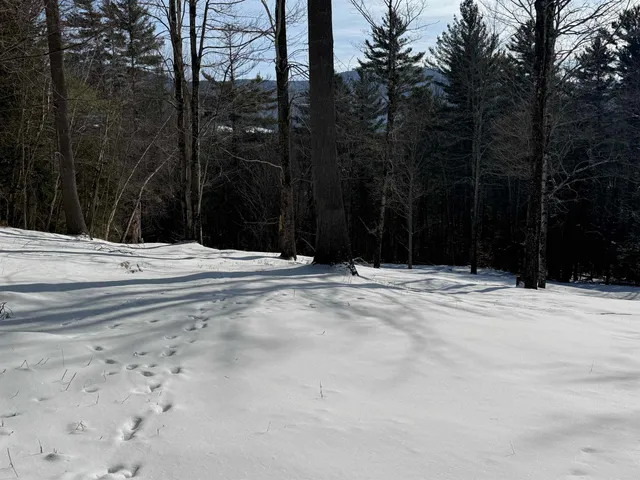 $420,000 | 0 Brook Road, Warren, VT 05674