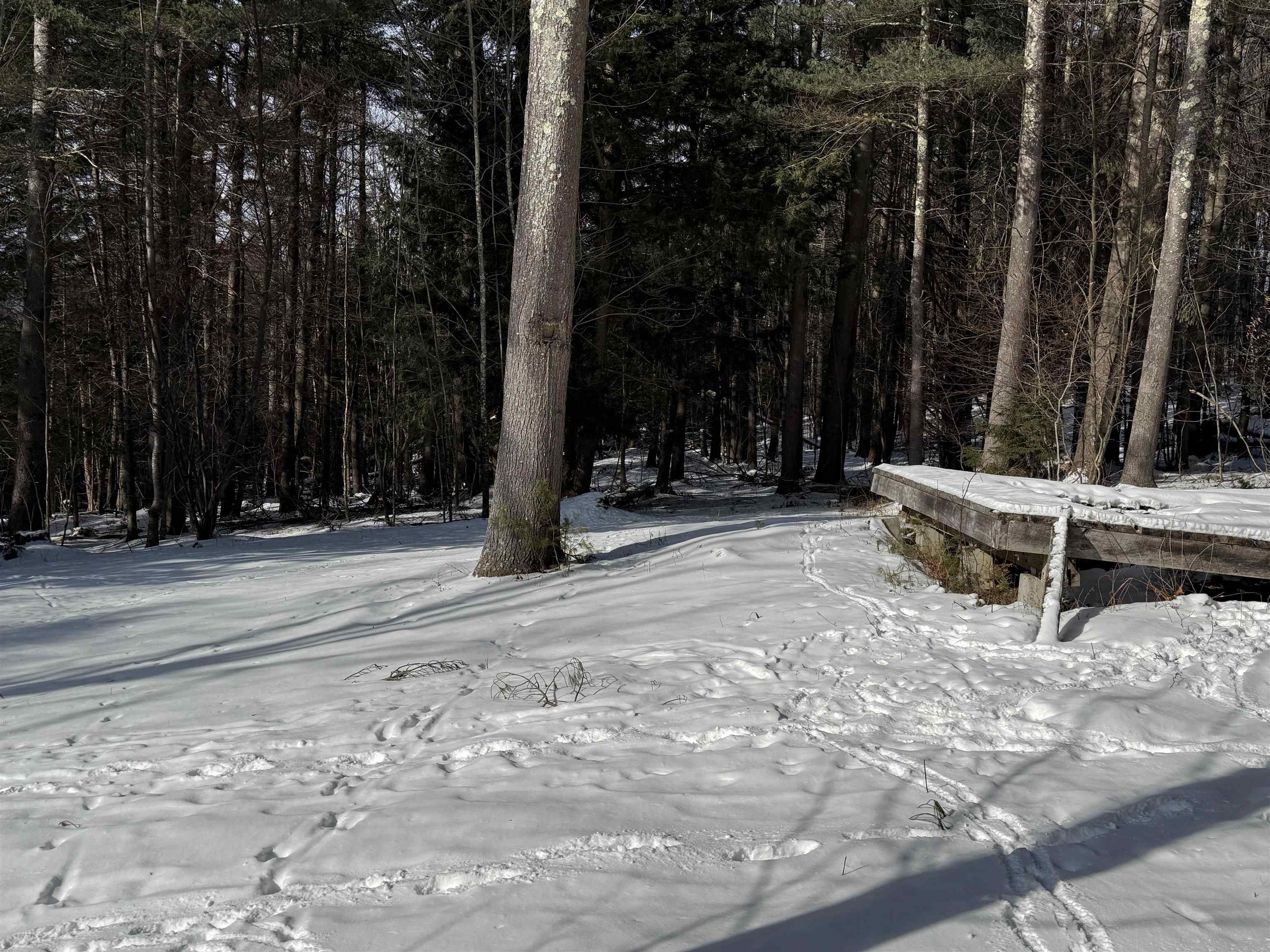 0 Brook Road Warren, VT 05674 - Photo 14 of 29