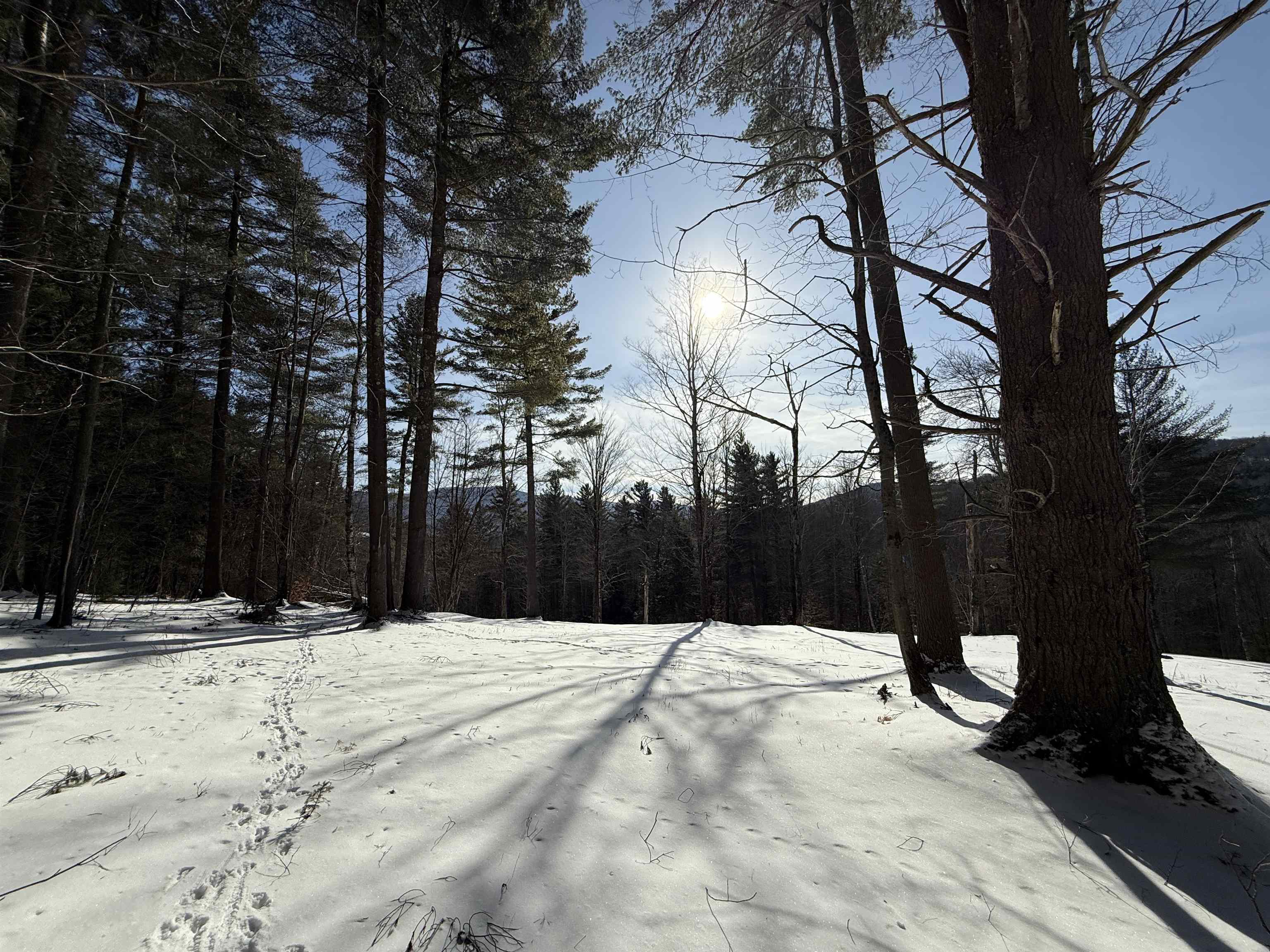 0 Brook Road Warren, VT 05674 - Photo 17 of 29