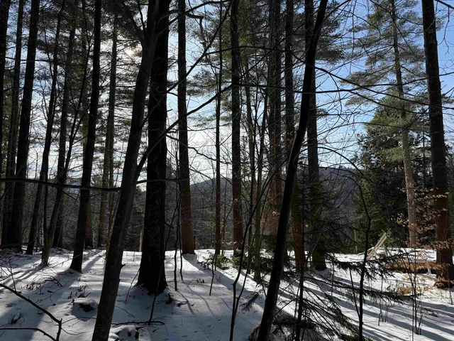 $420,000 | 0 Brook Road, Warren, VT 05674