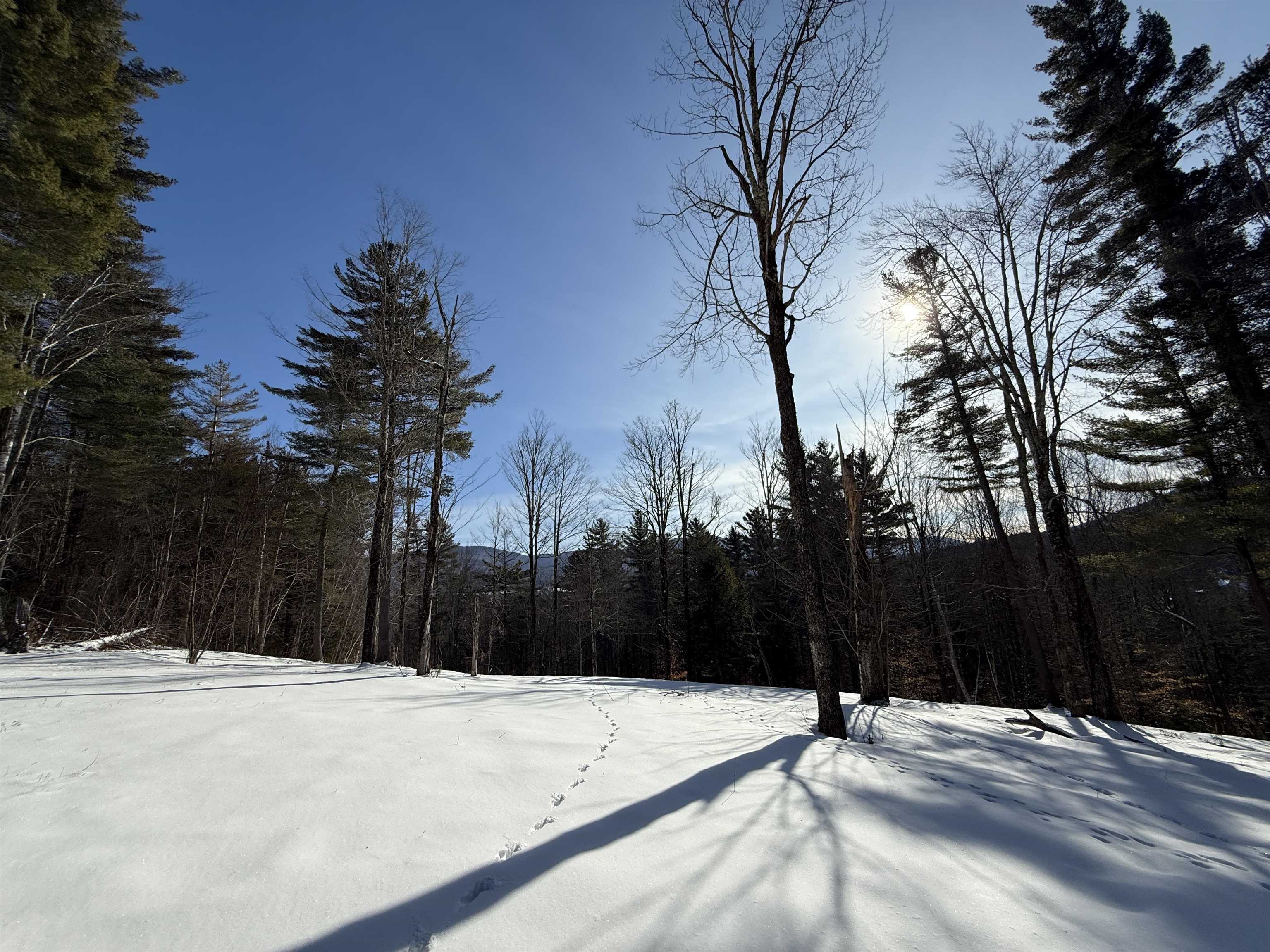 0 Brook Road Warren, VT 05674 - Photo 21 of 38