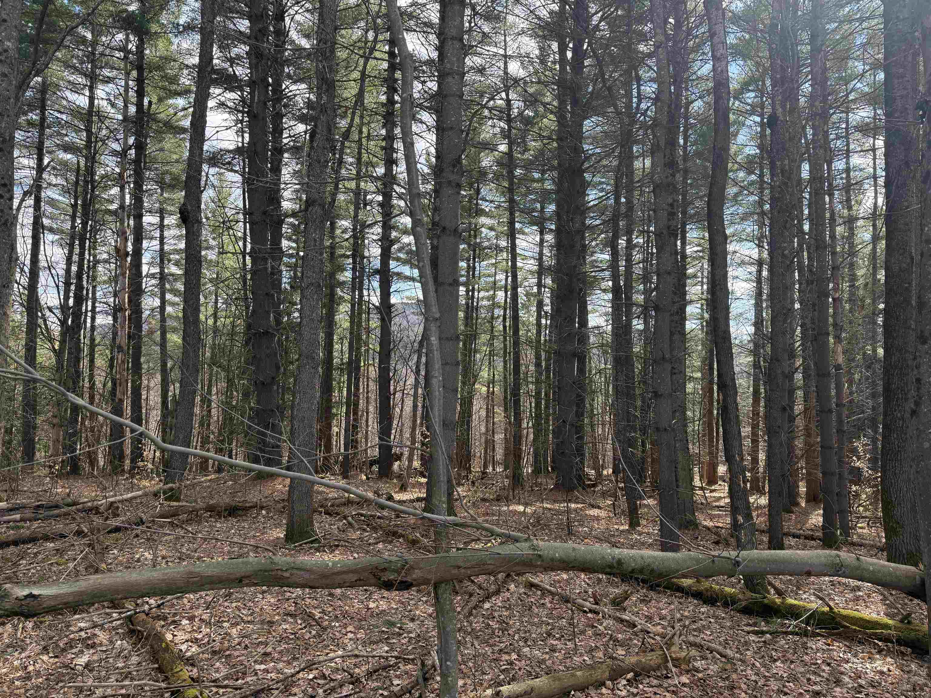 0 Brook Road Warren, VT 05674 - Photo 24 of 38