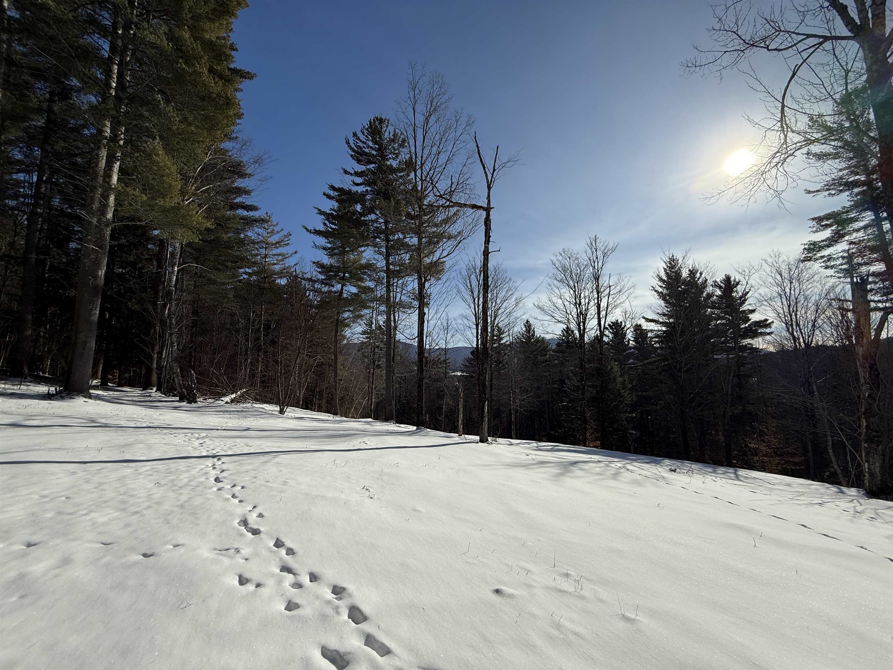 0 Brook Road Warren, VT 05674 - Photo 25 of 38