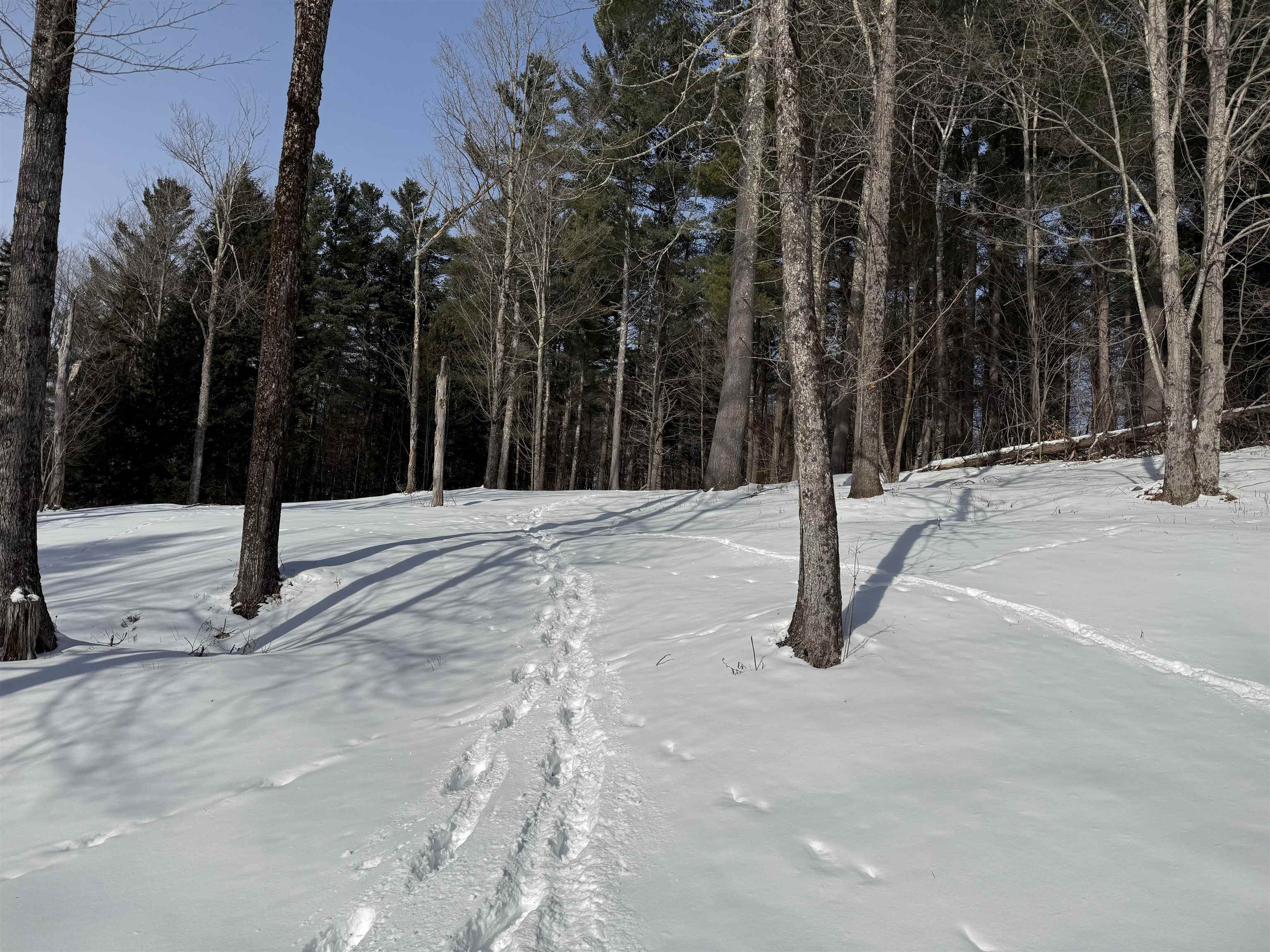 0 Brook Road Warren, VT 05674 - Photo 28 of 29