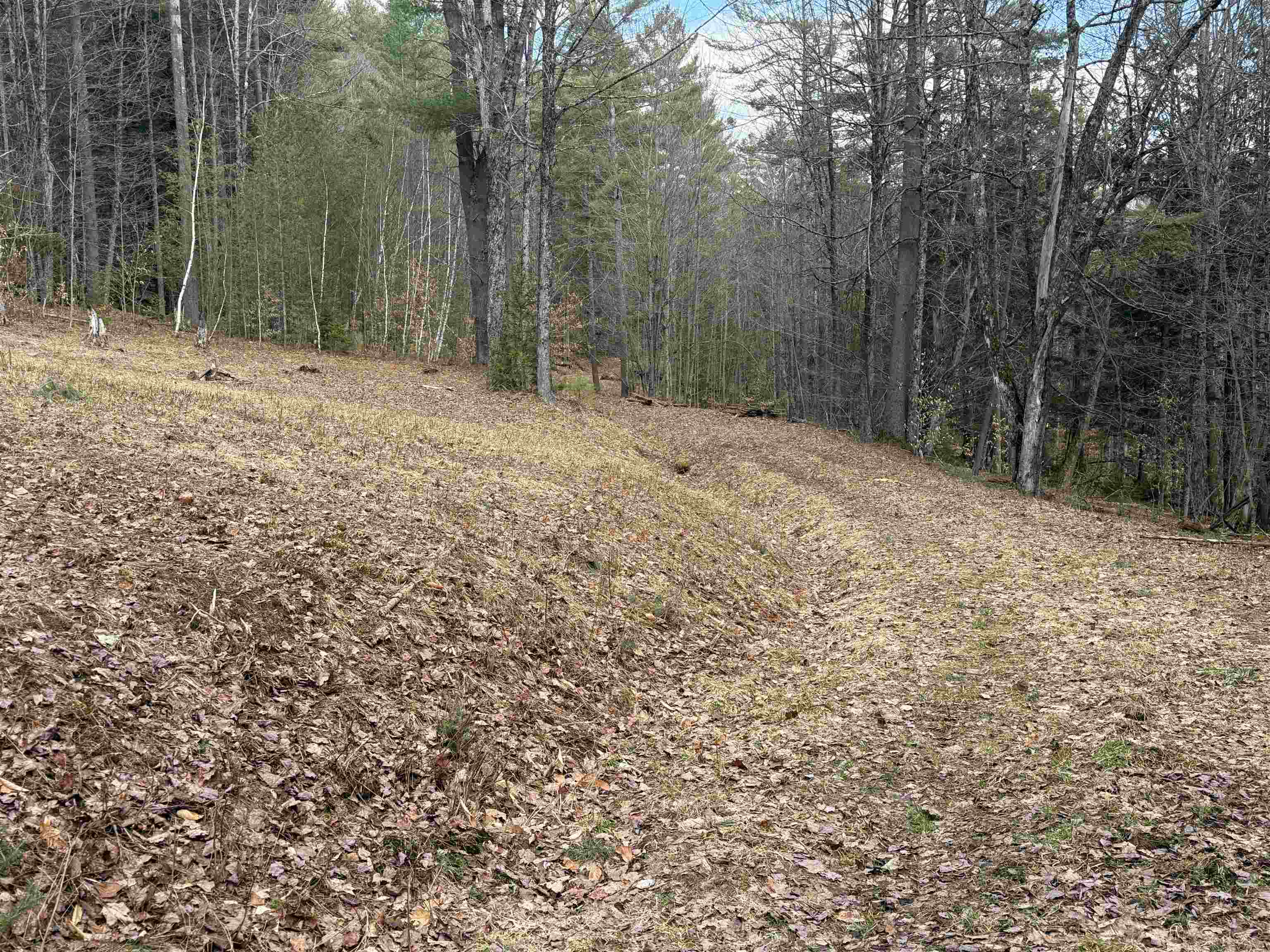 0 Brook Road Warren, VT 05674 - Photo 30 of 38