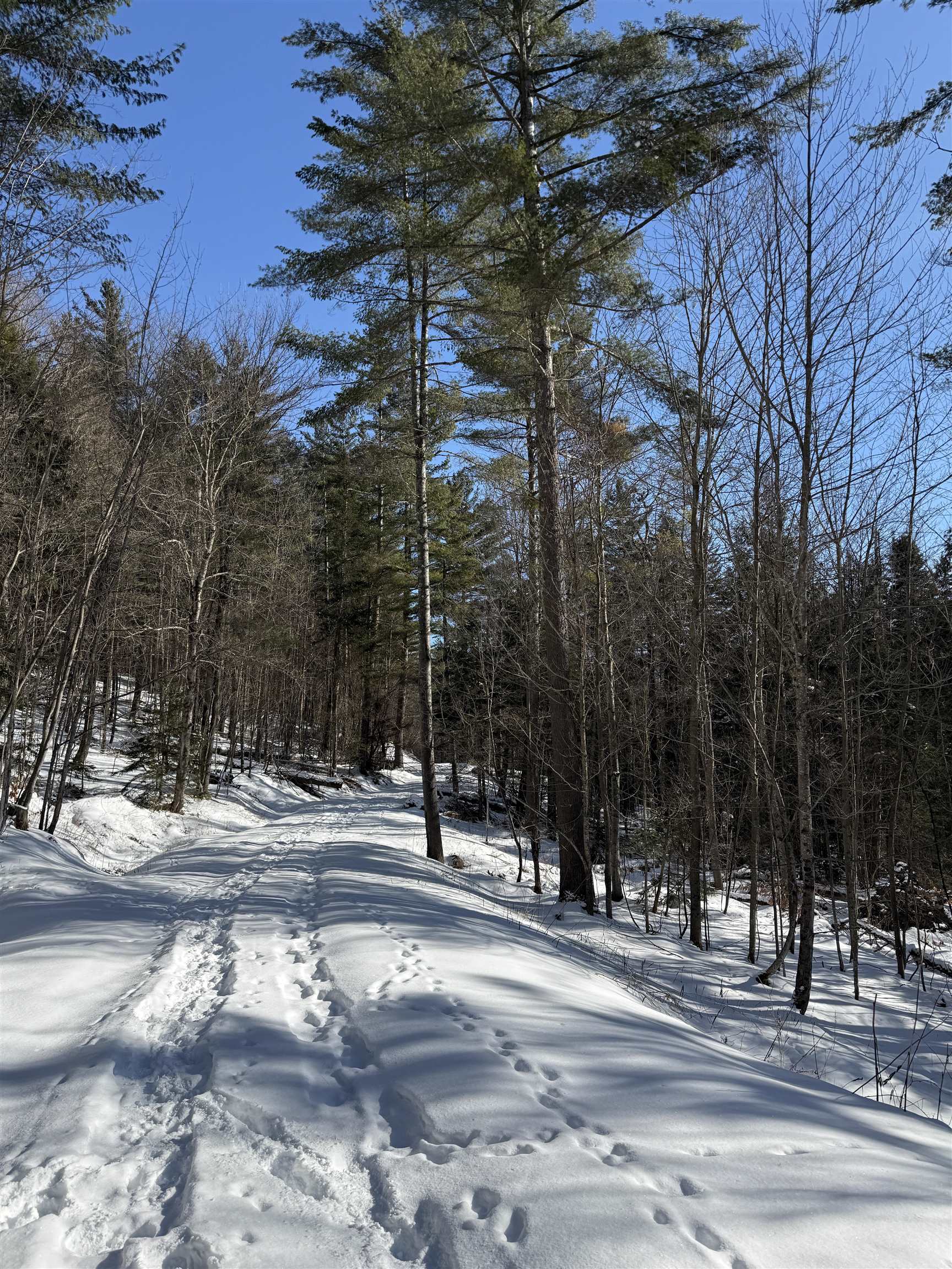 0 Brook Road Warren, VT 05674 - Photo 4 of 29