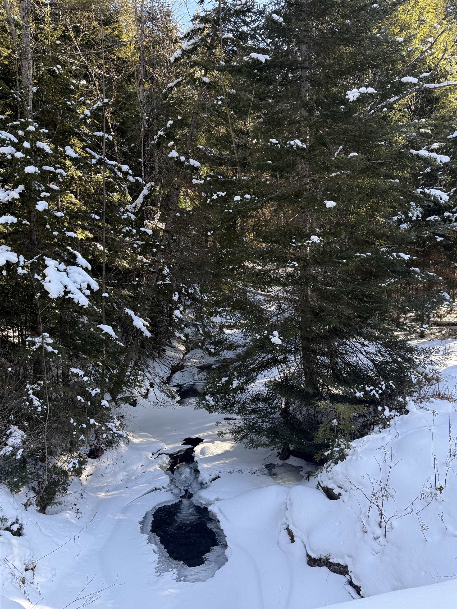 0 Brook Road Warren, VT 05674 - Photo 6 of 29