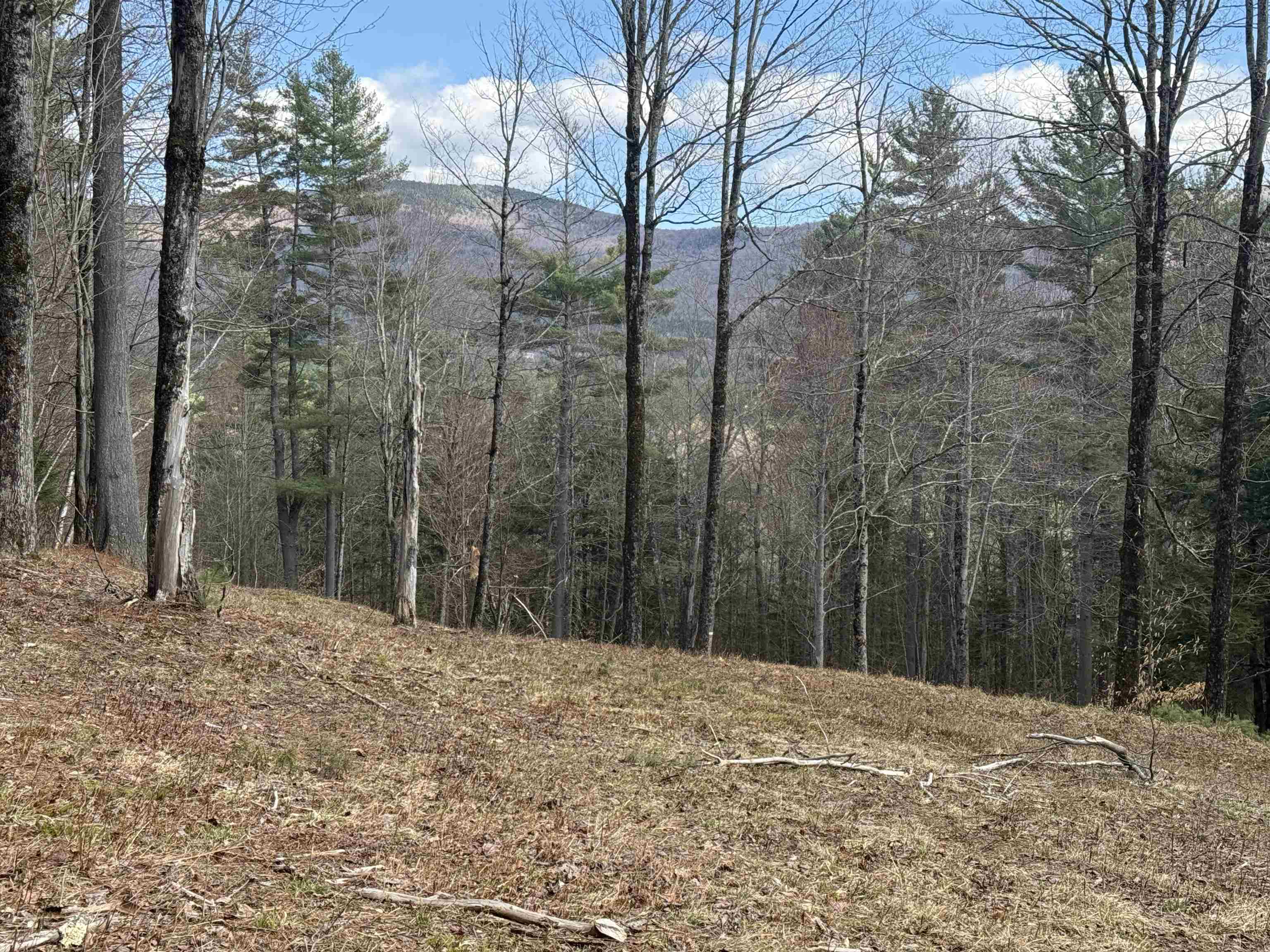 0 Brook Road Warren, VT 05674 - Photo 8 of 38