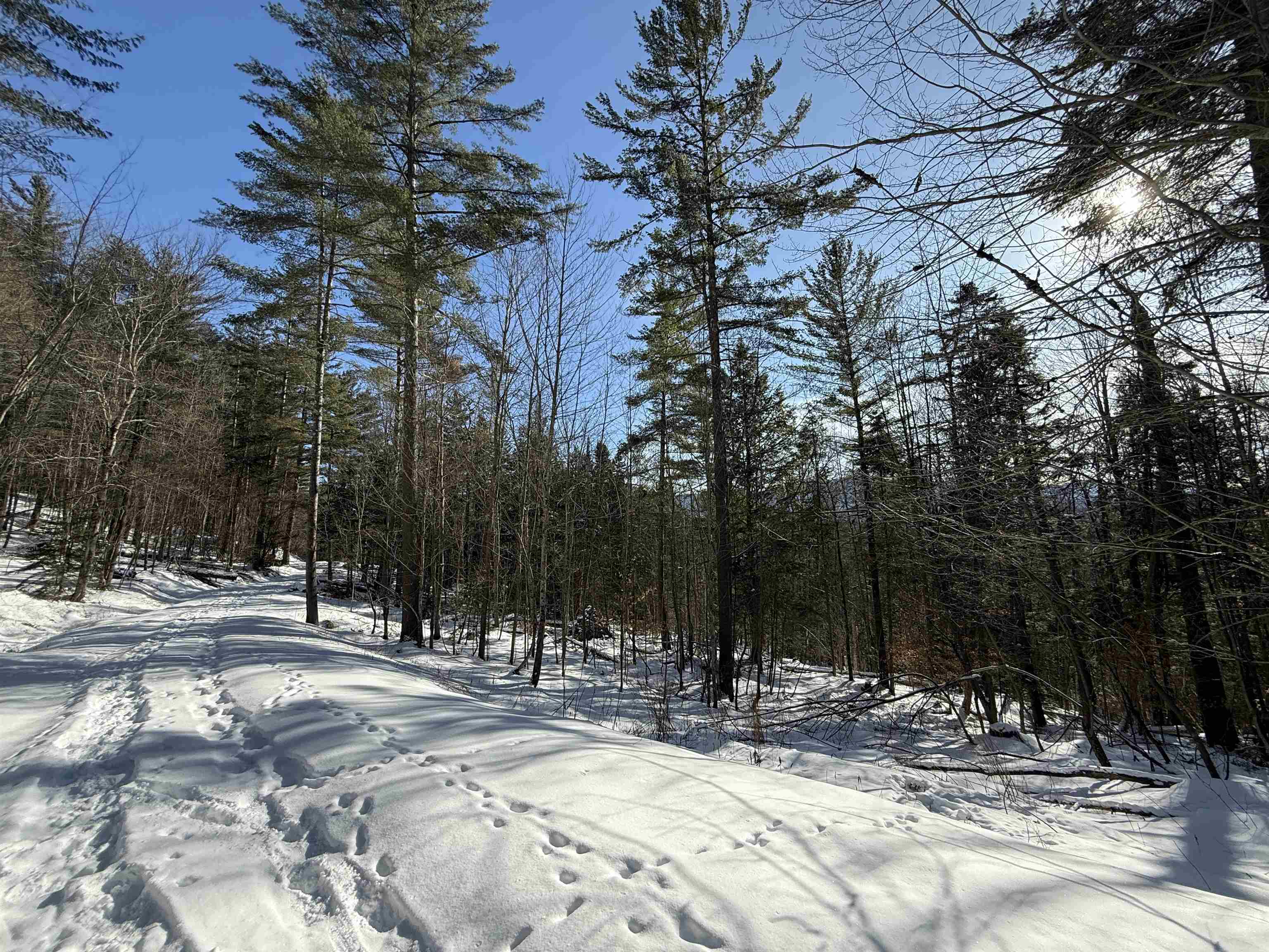 0 Brook Road Warren, VT 05674 - Photo 9 of 38