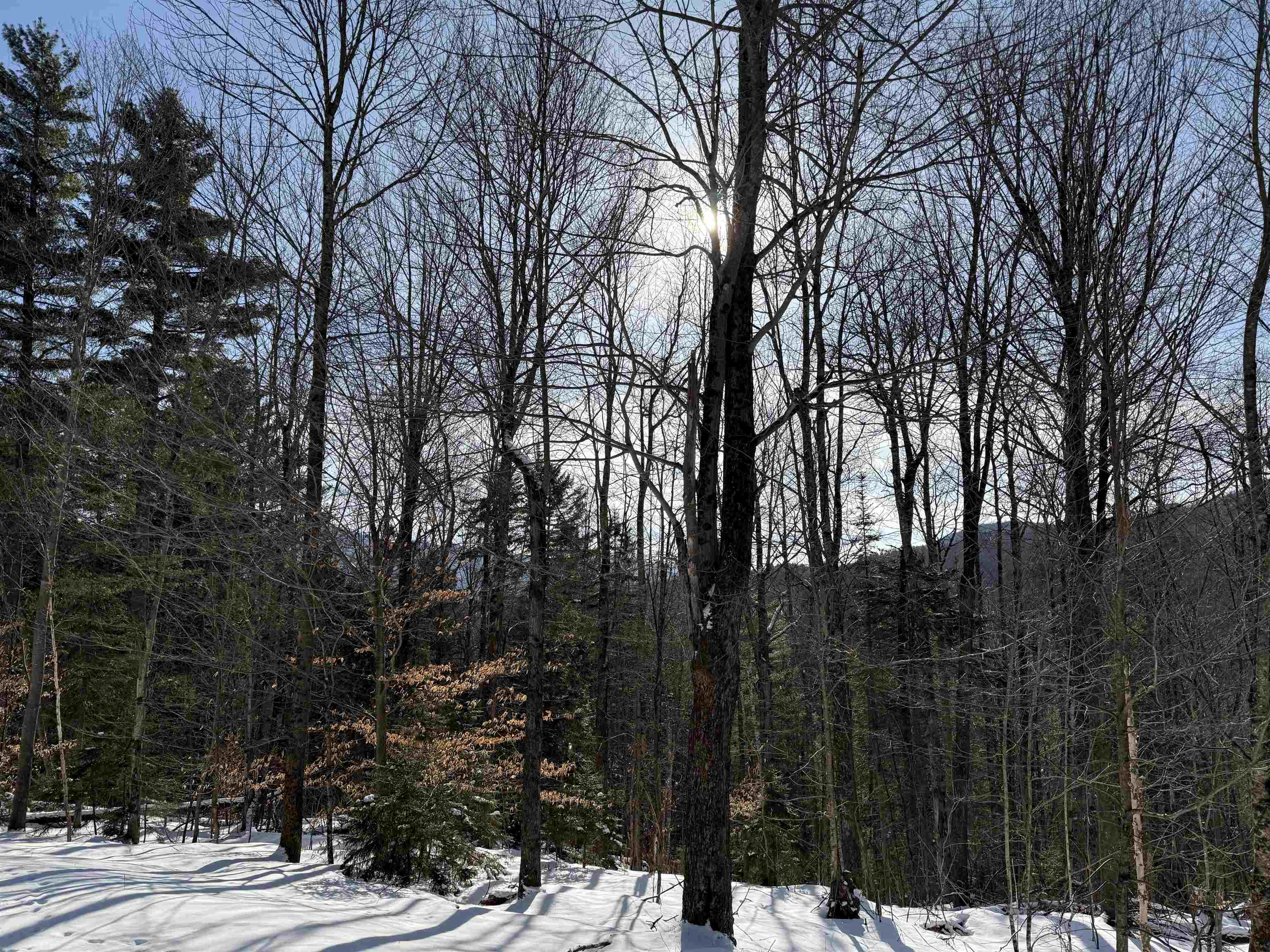 0 Brook Road Warren, VT 05674 - Photo 10 of 29