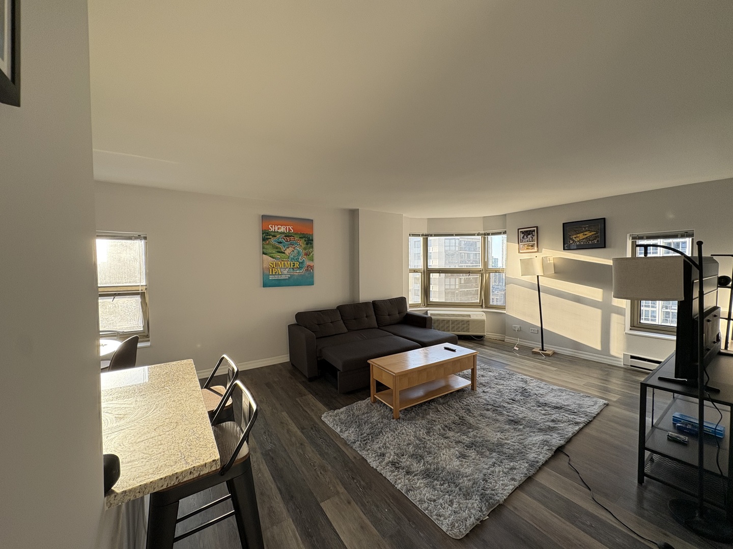 8 West Chestnut Street, Unit 21F Chicago, IL 60610 - Photo 4 of 19 a living room with furniture and a wooden floor