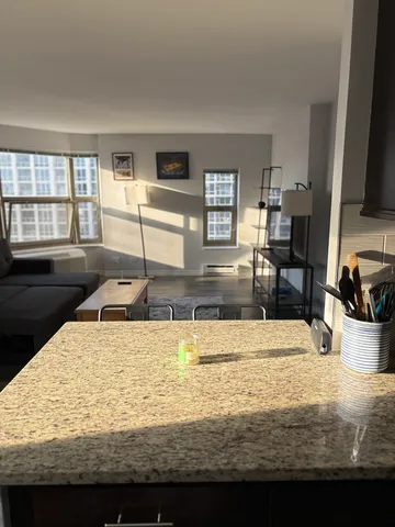 $3,390 | 8 West Chestnut Street, Unit 21F, Chicago, IL 60610