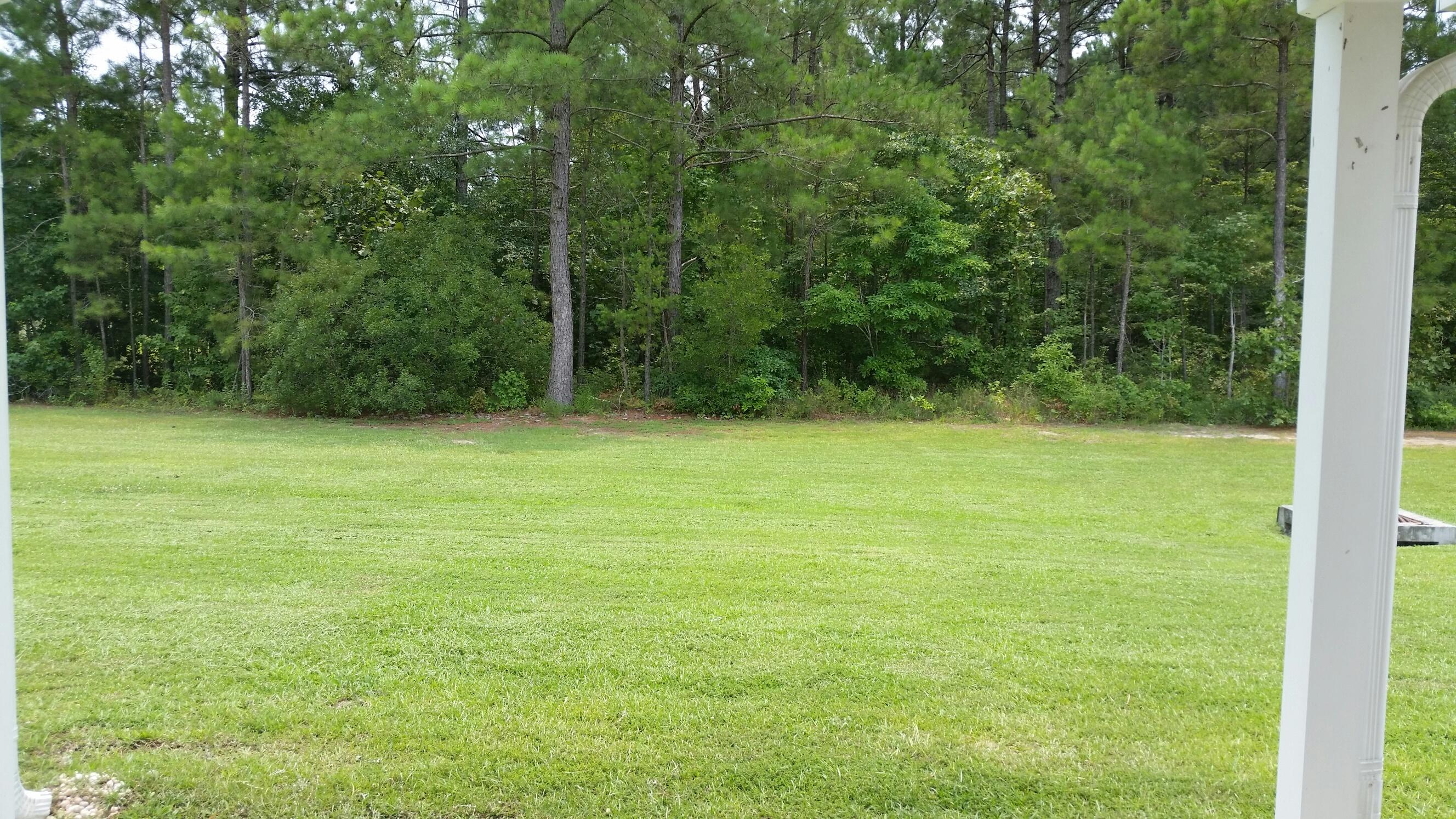 1277 River Rock Road Hanahan, SC 29410 - Photo 6 of 6 Rear Yard