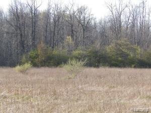 5728 Stoddard Road Port Hope, MI 48468 - Photo 1 of 11 5728 Stoddard.jpg,Very nice 3 Br