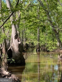 a view of fountain in a backyard