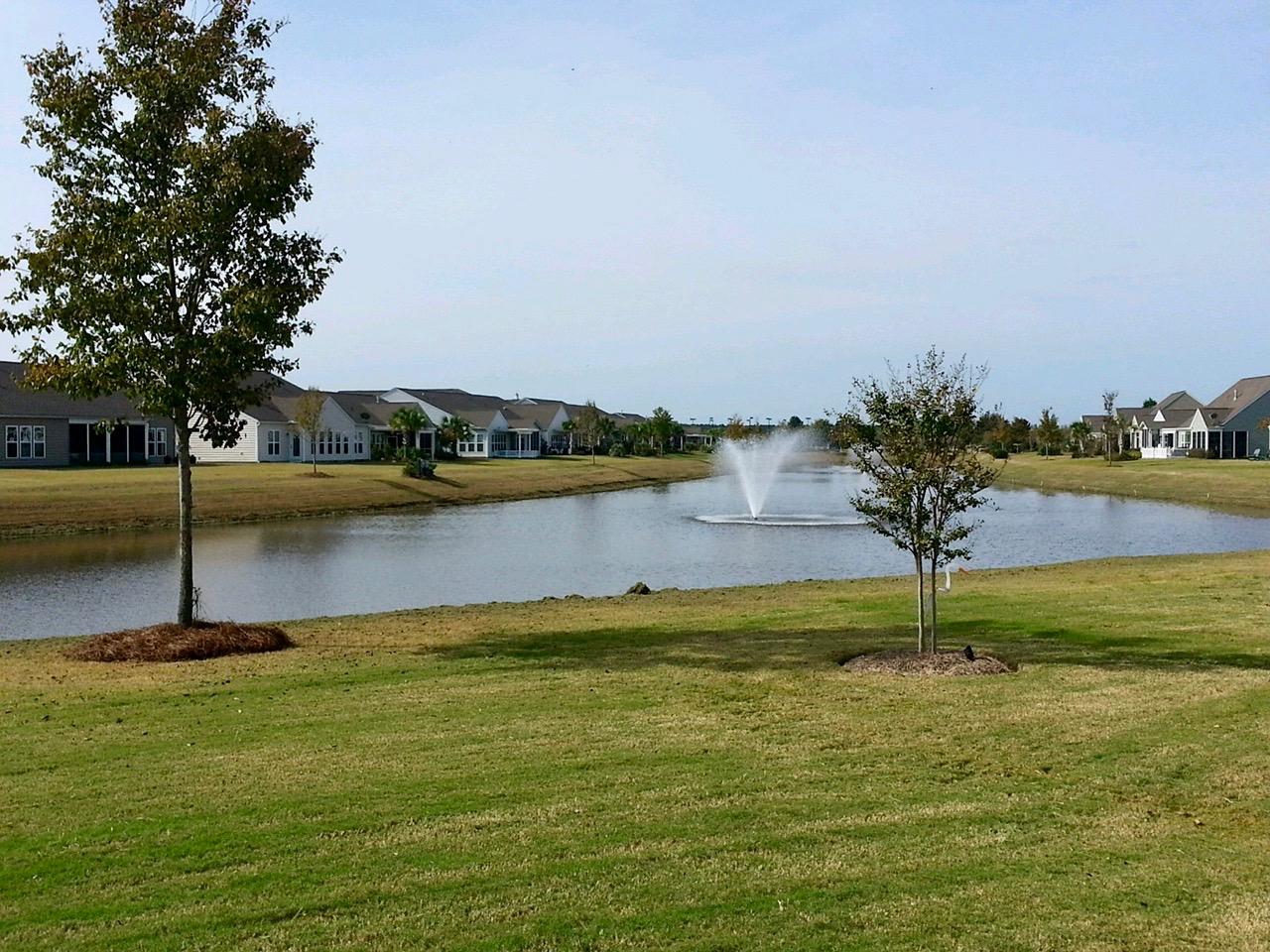 111 Harbor Point Court Summerville, SC 29486 - Photo 5 of 35 image1