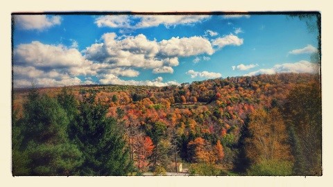 1759 Big Red Kill Road Fleischmanns, NY 12430 - Photo 2 of 37