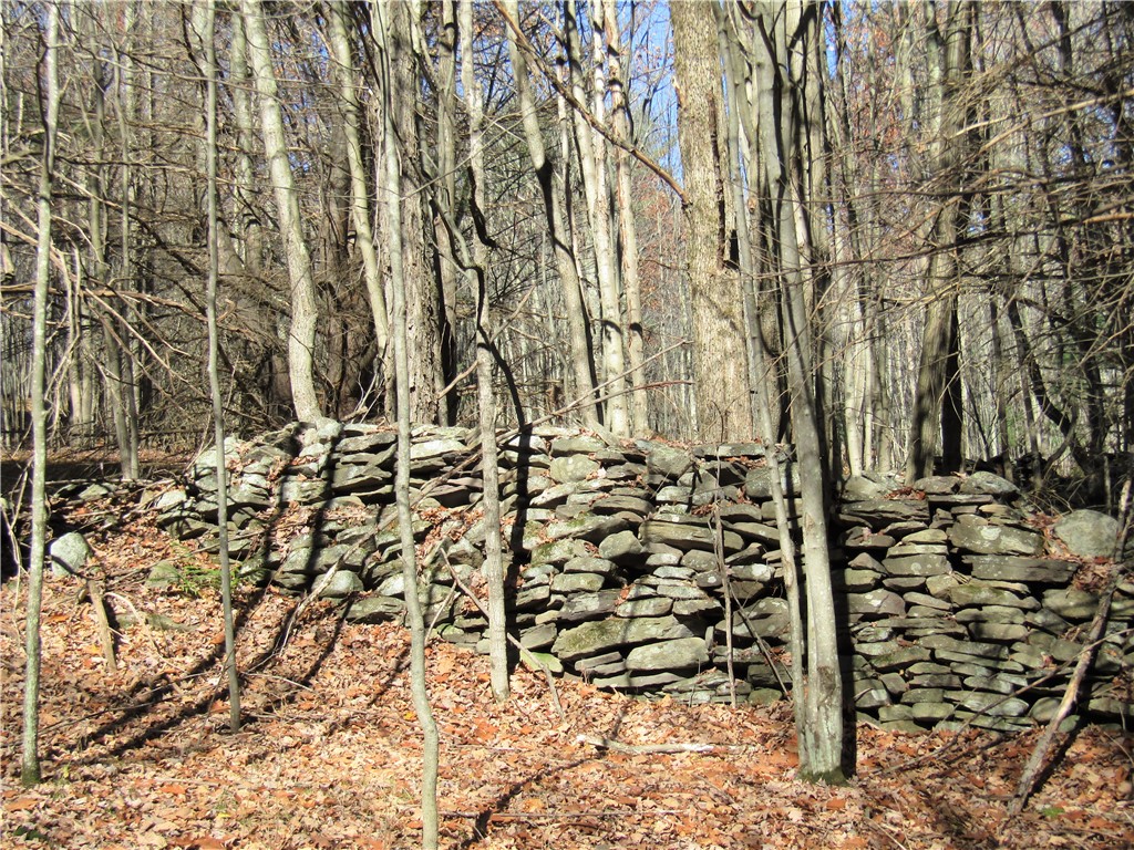 1759 Big Red Kill Road Fleischmanns, NY 12430 - Photo 27 of 37