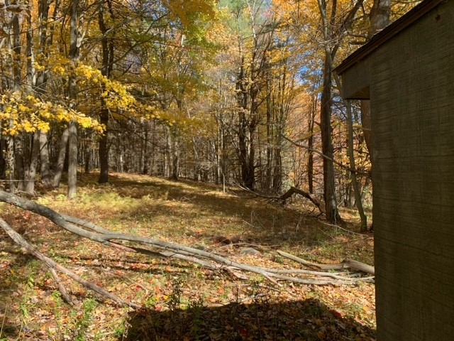 1759 Big Red Kill Road Fleischmanns, NY 12430 - Photo 28 of 37