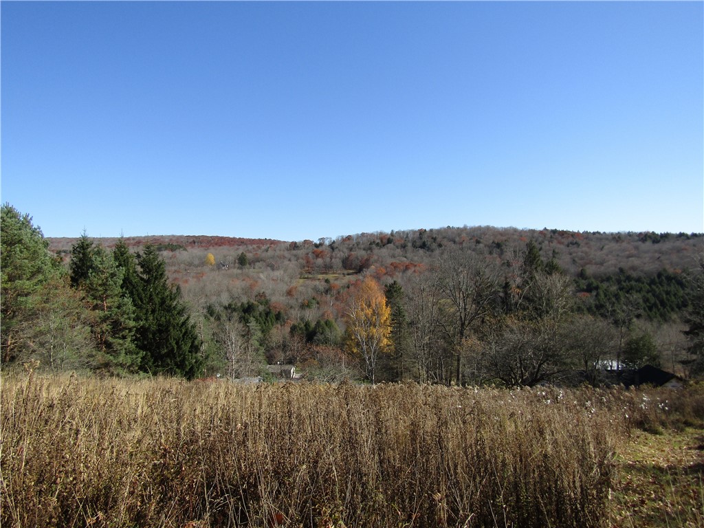 1759 Big Red Kill Road Fleischmanns, NY 12430 - Photo 29 of 37