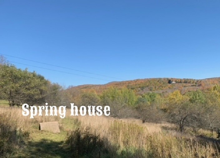 1759 Big Red Kill Road Fleischmanns, NY 12430 - Photo 30 of 37