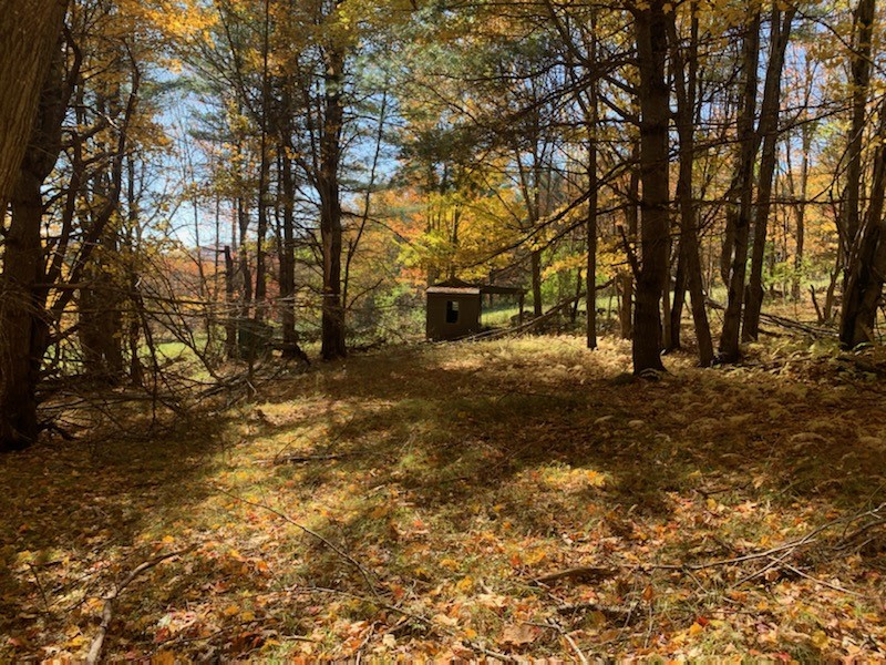 1759 Big Red Kill Road Fleischmanns, NY 12430 - Photo 32 of 37