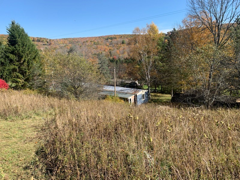 1759 Big Red Kill Road Fleischmanns, NY 12430 - Photo 34 of 37