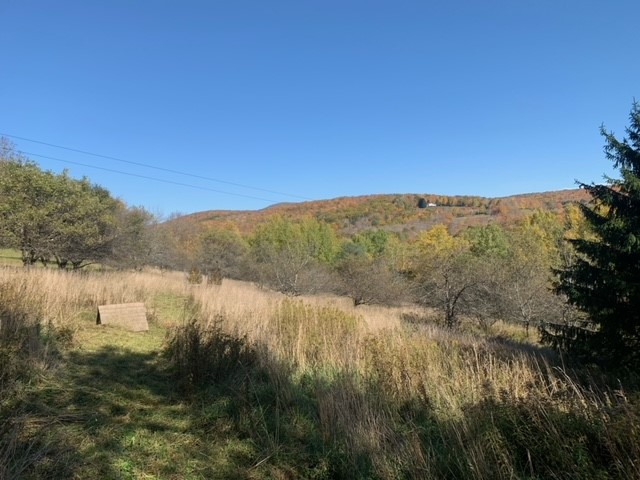 1759 Big Red Kill Road Fleischmanns, NY 12430 - Photo 36 of 37