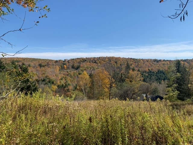 1759 Big Red Kill Road Fleischmanns, NY 12430 - Photo 5 of 37