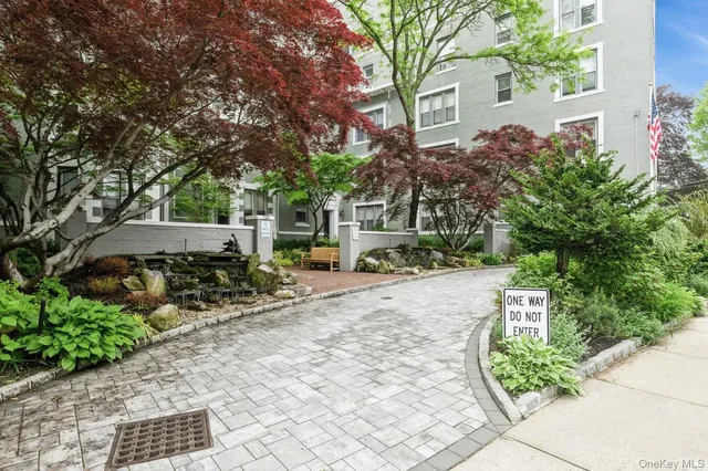a view of a street with potted plants and large trees
