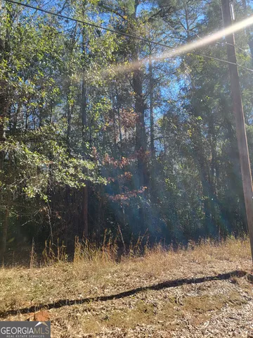 $10,000 | 0 Lumpkin Street, Albany, GA 31705