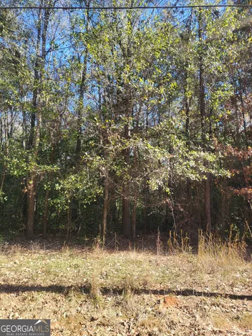 $10,000 | 0 Lumpkin Street, Albany, GA 31705