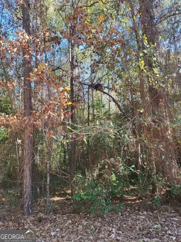 $10,000 | 0 Lumpkin Street, Albany, GA 31705