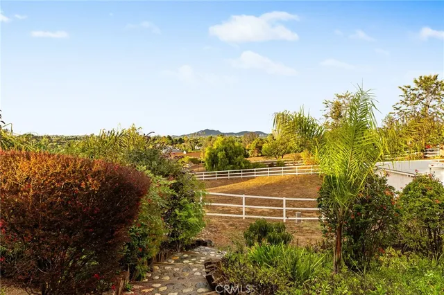 a view of a balcony with potted plants and more potted plants