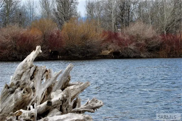 $130,000 | 3351 Henry's Frk Way, Rexburg, ID 83440