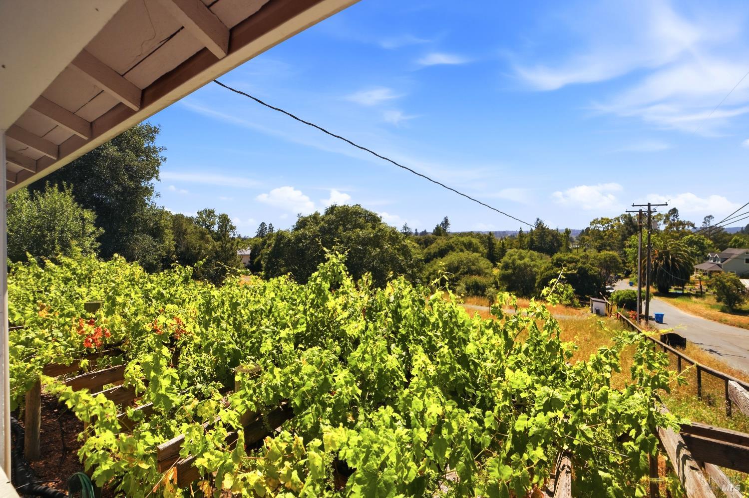 7695 Atkinson Road Sebastopol, CA 95472 - Photo 36 of 40