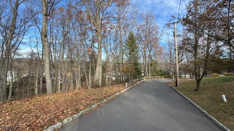 22 Mountain Road Denville, NJ 07834 - Photo 9 of 10 a view of a road with a yard