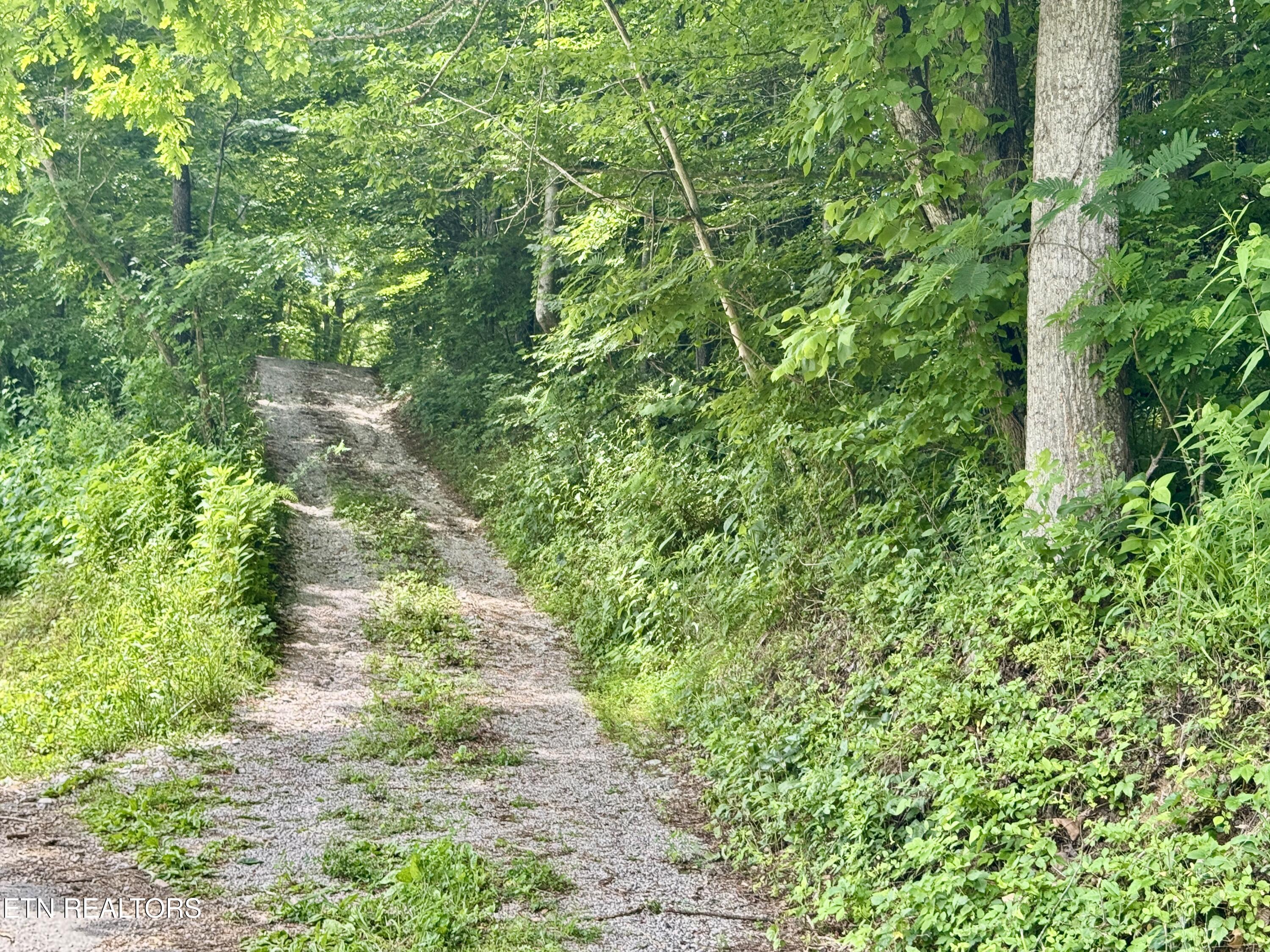 378 Johnson Hollow Road New Tazewell, TN 37825 - Photo 9 of 35 1-9