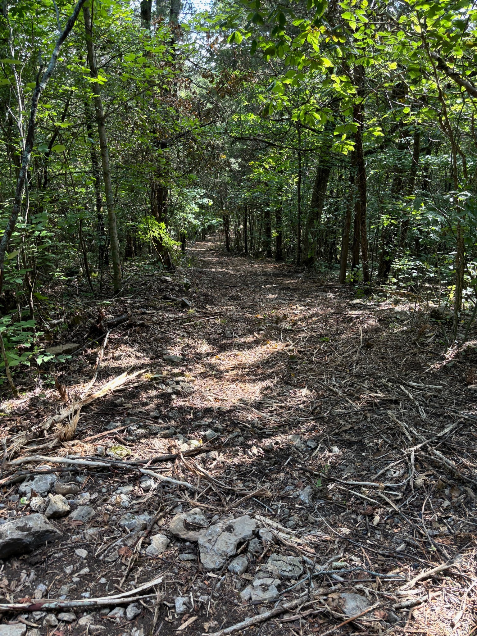 2517 Patton Hollow Road Watertown, TN 37184 - Photo 24 of 29