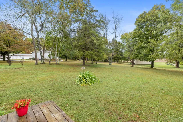 a view of yard with swimming pool and trees