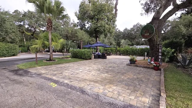a view of a park with large trees