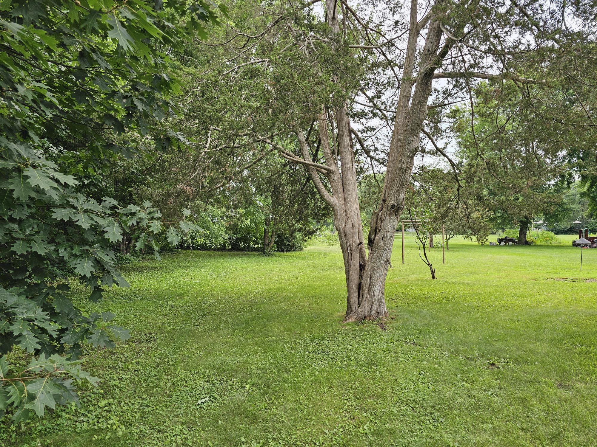 W8048 County Rd ZB Onalaska, WI 54650 - Photo 22 of 30 123 Backyard 1