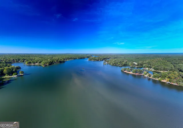 $2,695,000 | 0 Lick Skillet Road, Hamilton, GA 31811