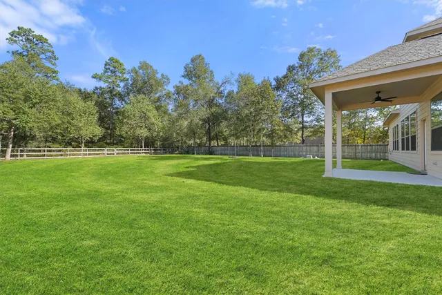 a view of a park with large trees